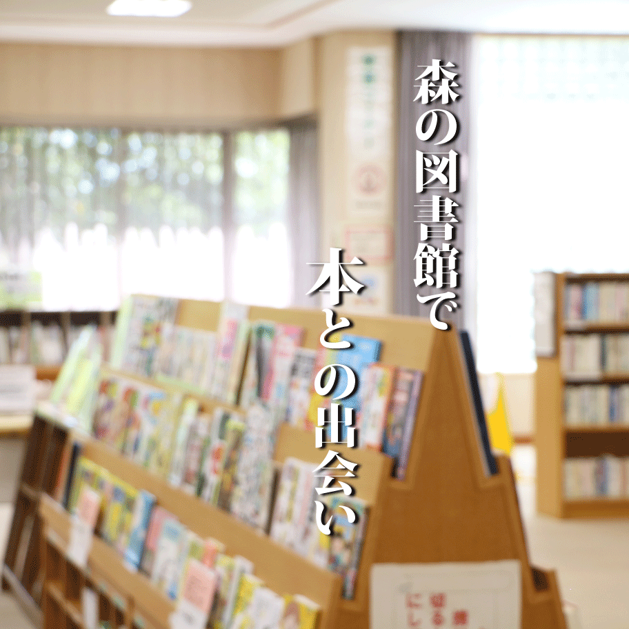 森の図書館3